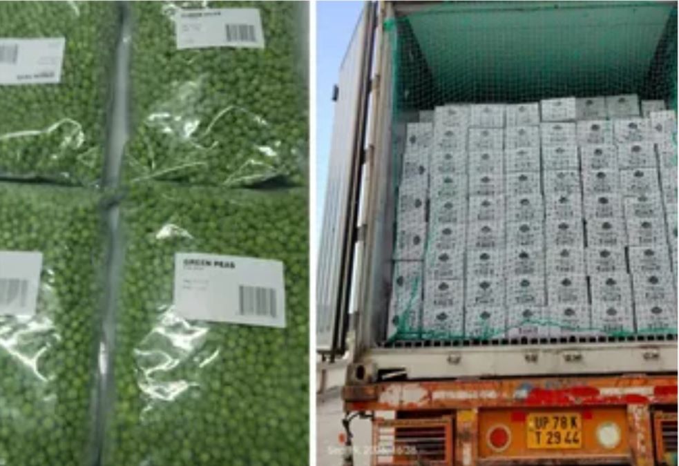 APEDA flags off FPO-led frozen food export from Haryana to Canada