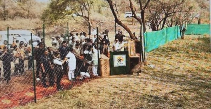 MP CM releases two Botswana cheetahs into forest at Kuno Park