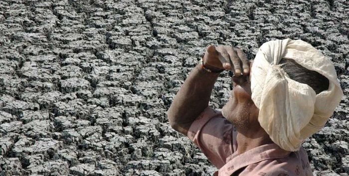 FAO, WMO report flags danger of extreme heat for agriculture