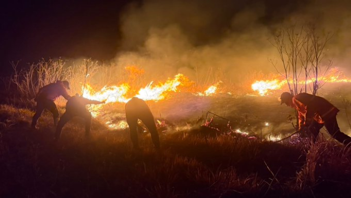 Indonesia: Fire near Mount Bromo extinguished after 550 hectares burnt
