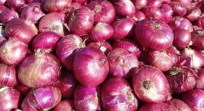 Govt raises onion procurement price by 13 per cent