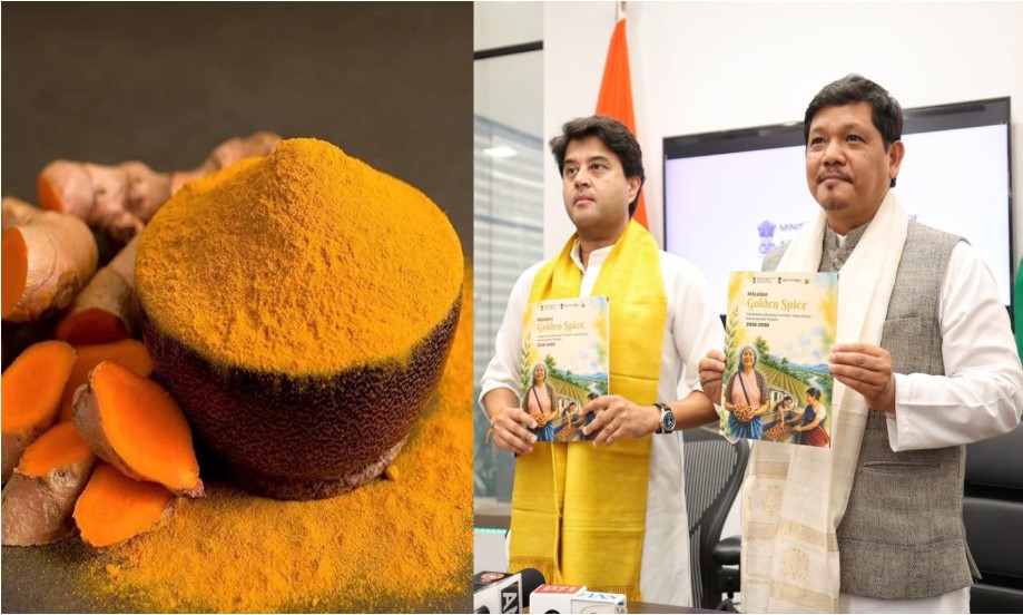 Mission Golden Spice launched for Lakadong Turmeric's global push