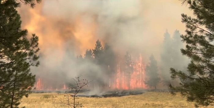US ravaged by wildfires, Washington State declares emergency