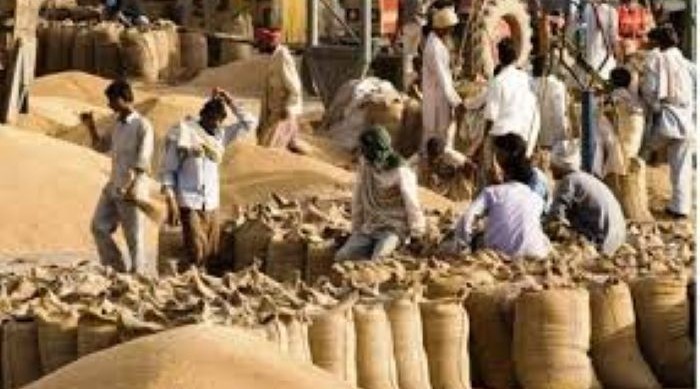 In MP, over 22,521 MT wheat crops procured at MSP in two days