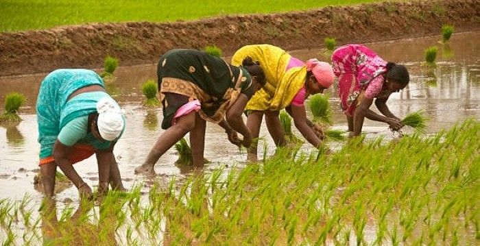 Maharashtra assembly passes bill to recognise women farmers