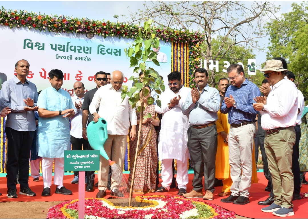 Gujarat launches mega tree plantation drive on 'World Environment Day'